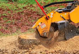 Best Lawn Mowing  in Round Lake Heights, IL