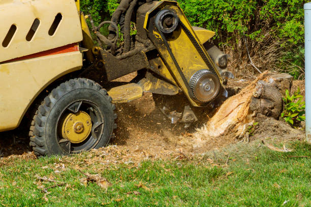 Lawn Maintenance Plans in Round Lake Heights, IL